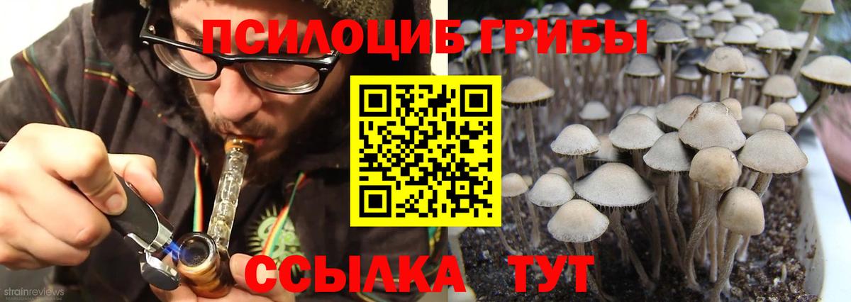 Малгобек  Галлюциногенные грибы прущие грибы  Псилоцибиновые грибы мухоморы  Вход с VPN 